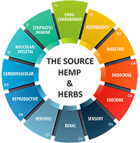 The Source Hemp And Herbs